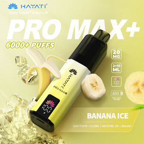 Hayati Pro Max+ 6000 Prefilled Pod Vape kit Dual Flavor