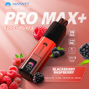 Hayati Pro Max+ 6000 Prefilled Pod Vape kit Dual Flavor