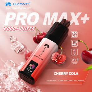 Hayati Pro Max+ 6000 Prefilled Pod Vape kit Dual Flavor