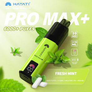 Hayati Pro Max+ 6000 Prefilled Pod Vape kit Dual Flavor