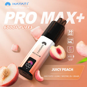 Hayati Pro Max+ 6000 Prefilled Pod Vape kit Dual Flavor