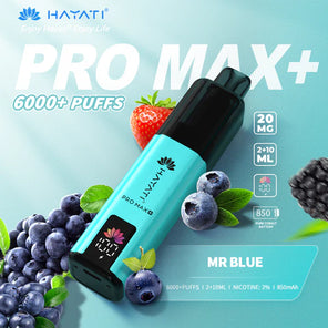 Hayati Pro Max+ 6000 Prefilled Pod Vape kit Dual Flavor