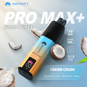 Hayati Pro Max+ 6000 Prefilled Pod Vape kit Dual Flavor