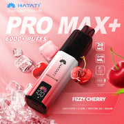 Hayati Pro Max+ 6000 Prefilled Pod Vape kit Dual Flavor