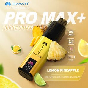 Hayati Pro Max+ 6000 Prefilled Pod Vape kit Dual Flavor