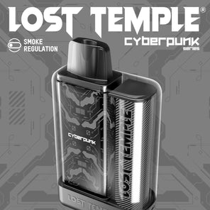 Lost Temple Disposable Vape Pod Kit Device