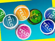 Velo Nicotine Pouches